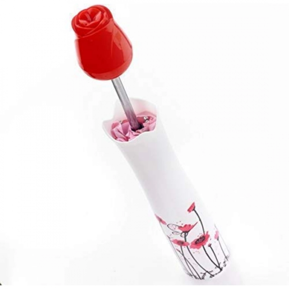 52634879289_16d33b7f44_o_d-1000x1000-1.webp