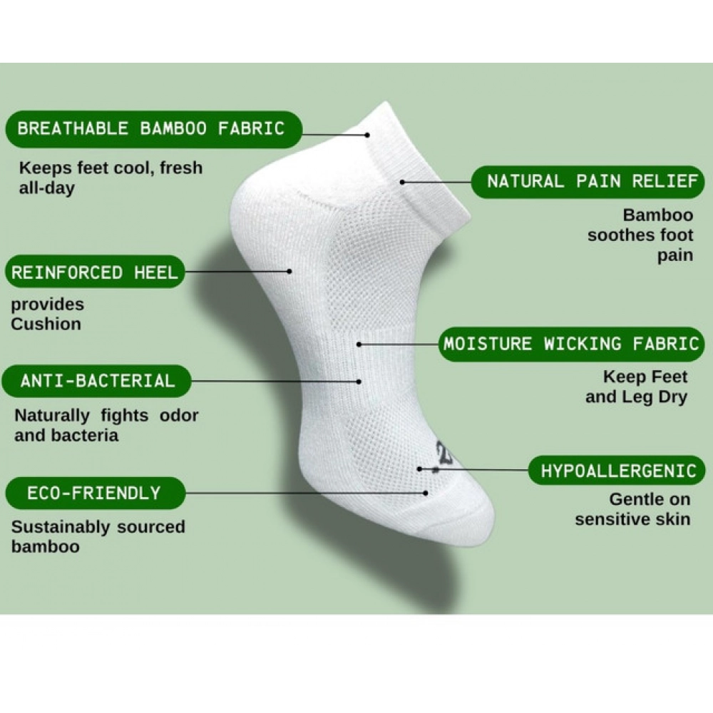 PID-62961-Generic-3-Pair-Set-Unisex-Casual-Cotton-Striped-Low-Cut-Socks-Multicolor-1-1000x1000-1.webp