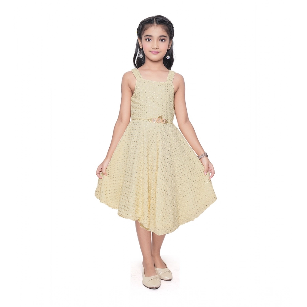 PID-63802-Generic-Girl-s-Shiffon-Chicken-Printed-Sleeve-Less-Round-Neck-Dress-SINGLE-1-1000x1000-1.webp