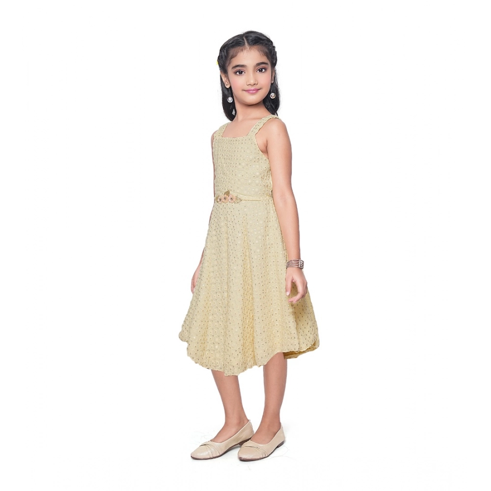 PID-63802-Generic-Girl-s-Shiffon-Chicken-Printed-Sleeve-Less-Round-Neck-Dress-SINGLE-1-1000x1000-1.webp