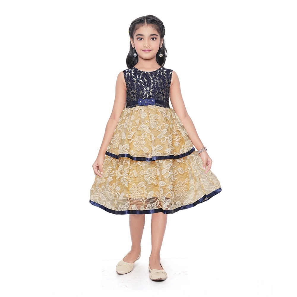 PID-63803-Generic-Girl-s-Fancy-Net-Printed-Sleeve-Less-Round-Neck-Dress-SINGLE-1-1000x1000-1.webp