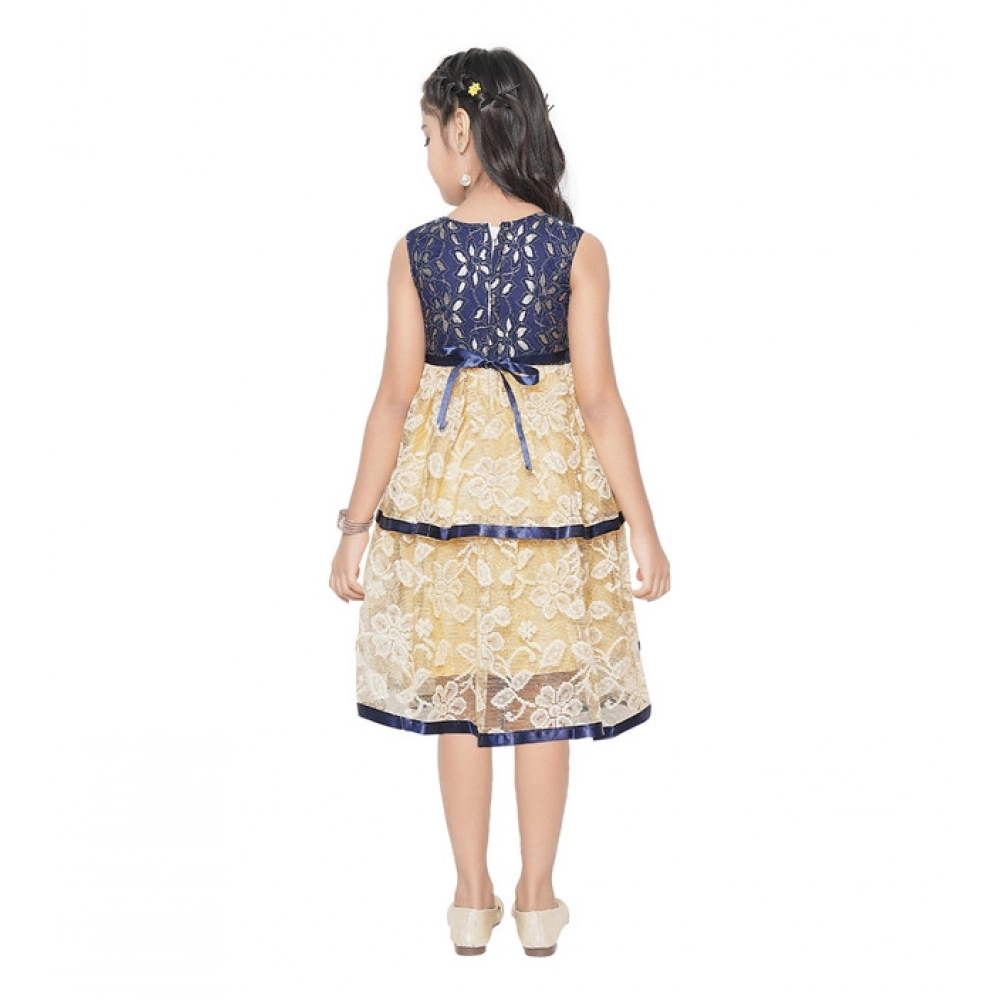 PID-63803-Generic-Girl-s-Fancy-Net-Printed-Sleeve-Less-Round-Neck-Dress-SINGLE-1-1000x1000-1.webp